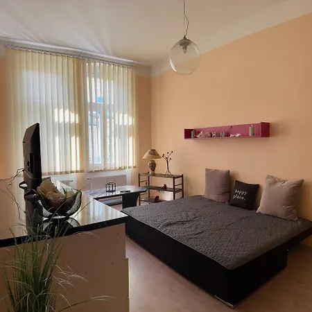 Golden X Cross Apartment Karlovy Vary