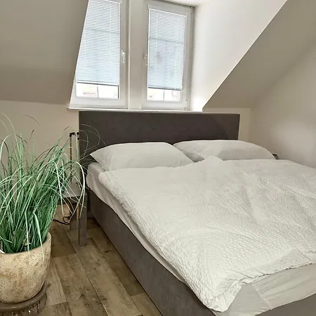 Golden X Cross Apartman Karlovy Vary