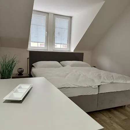 Golden X Cross Apartman Karlovy Vary
